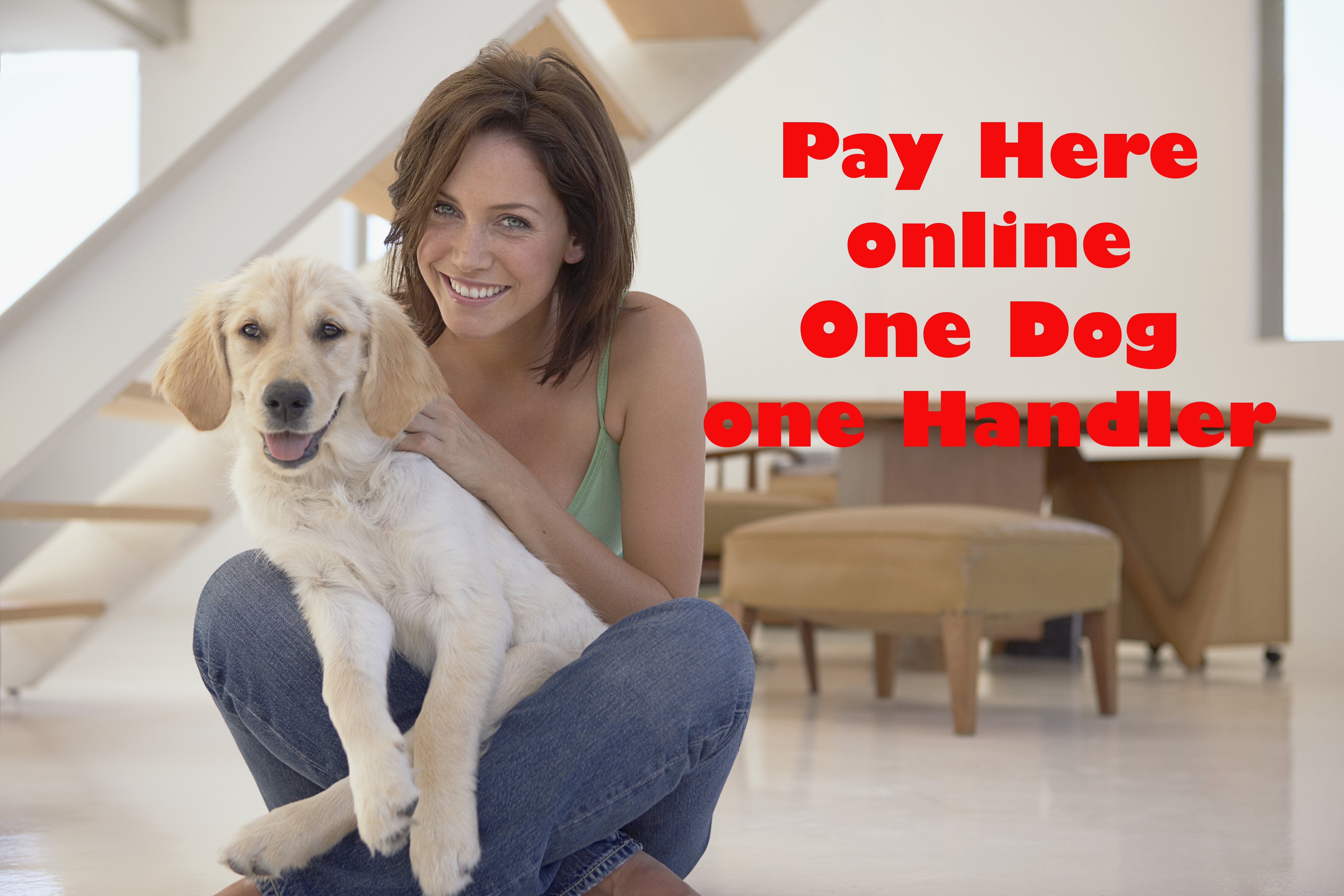Online payment one dog one handler